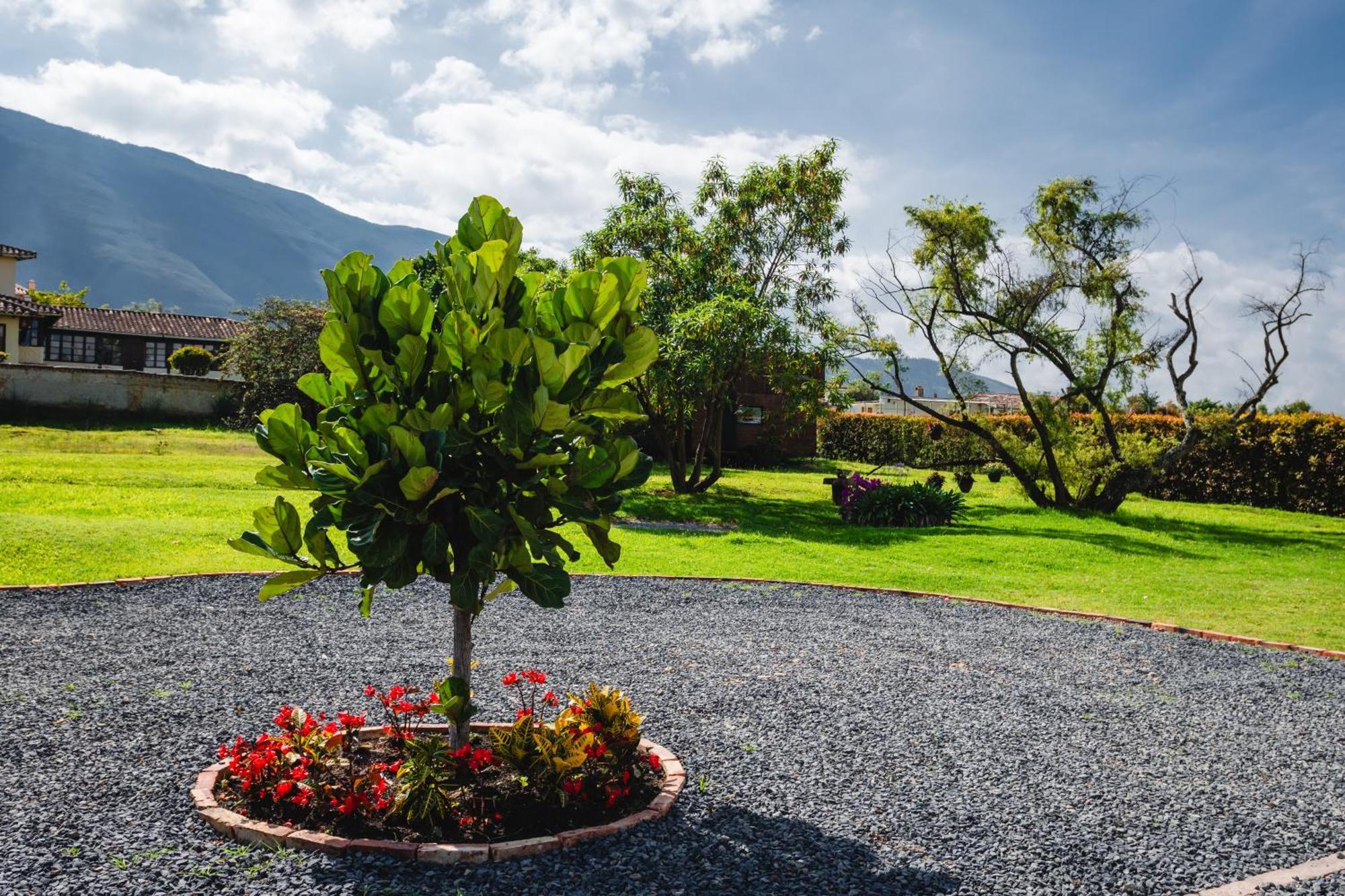 Casa De Las Flores Villa de Leyva Eksteriør bilde